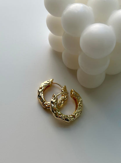 Charming anti tarnish earrings for girls