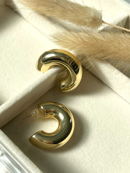 Stylish and trendy anti tarnish earrings