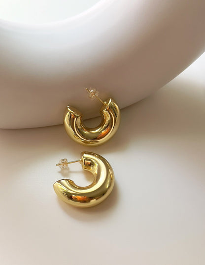 Stylish and trendy anti tarnish earrings